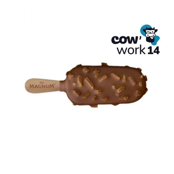 glaces Glaces Mini-Magnum ou boules de glace COW'WORK14