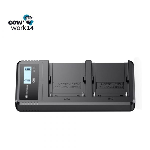 pack batteries3 Pack : 2 Batteries + Chargeur Double Rapide – Pour Sony, Godox, Neewer & Moniteurs Pro 🔋