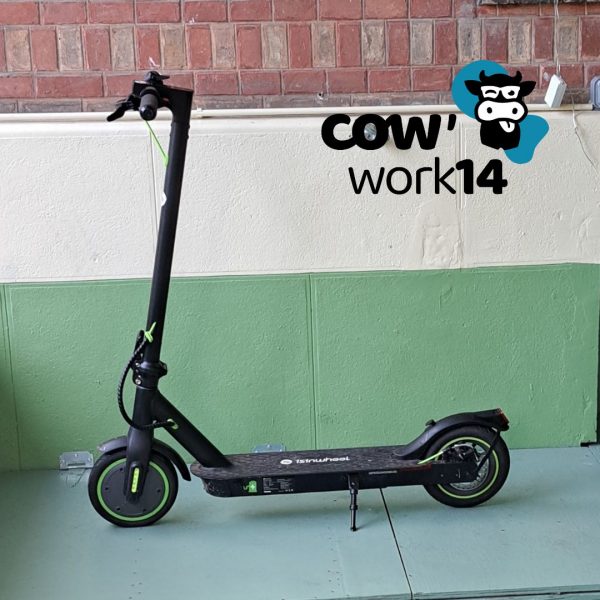 Location COW'TROTT à La journée